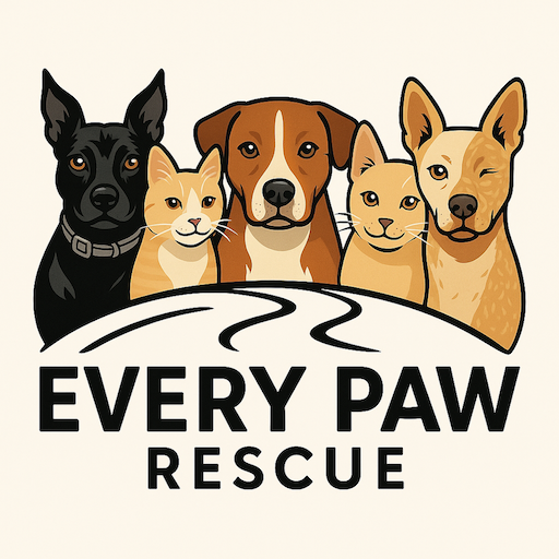 Every Paw Rescue